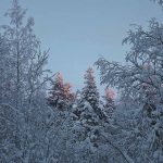 Зима в Карелии