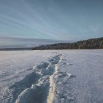 На снегоступах по Онежскому озеру