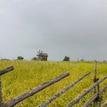 Мельница и поле на острове Кижи